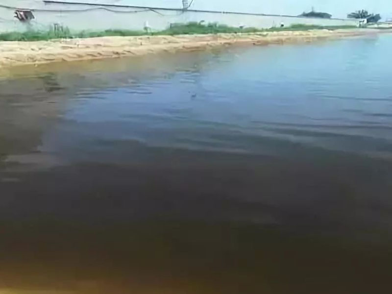 生物毒性檢測儀用于神經毒劑的毒性檢測