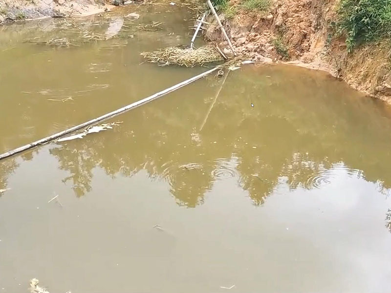 魚(yú)塘的水變臭是什么原因引起的？要怎么解決