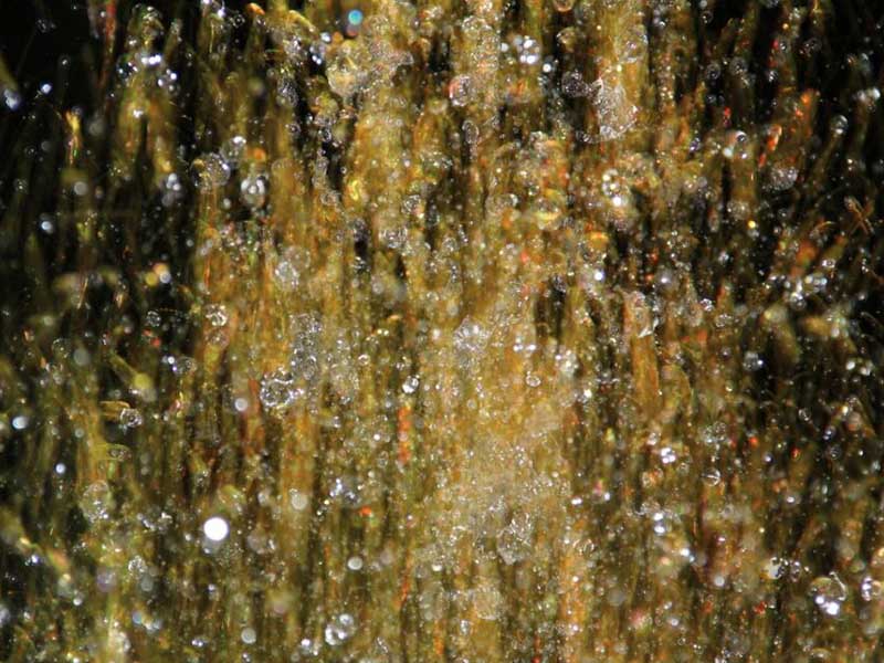 水質COD檢測標準匯總