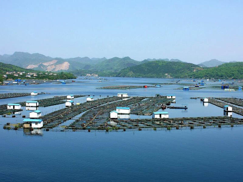 污水總磷排放標準是多少