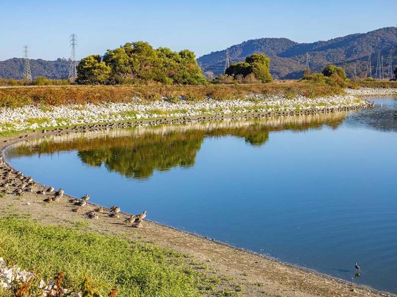 河南省1月份地表水環境質量排名