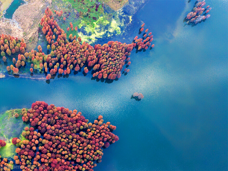 紅外測油儀常見故障及排除方法