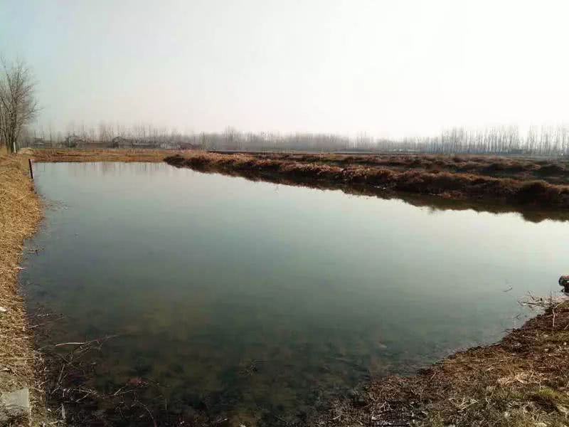 檢測蝦塘水質中的溶解氧，需要哪款設備