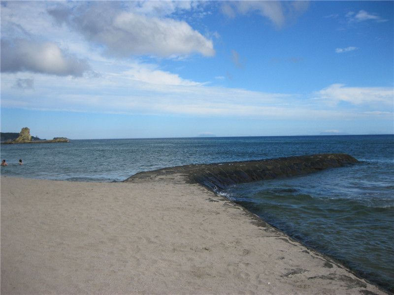 霍爾德生物毒性分析儀,對(duì)海水進(jìn)行檢測(cè) 霍爾德生物毒性分析儀,對(duì)海水進(jìn)行檢測(cè)